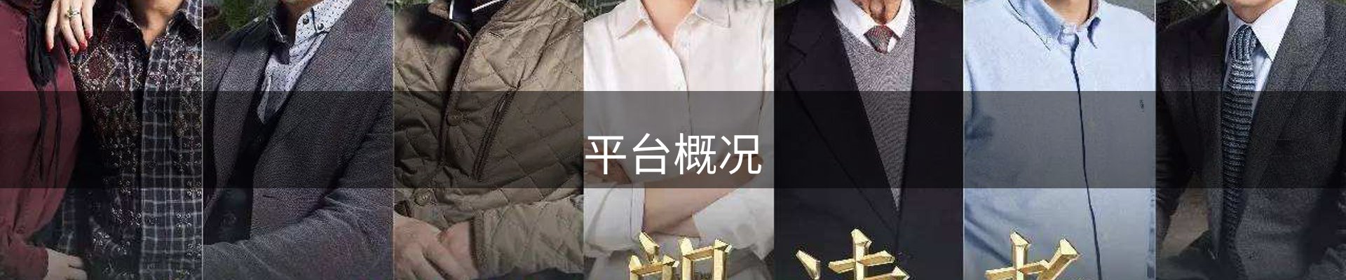 平台概况
