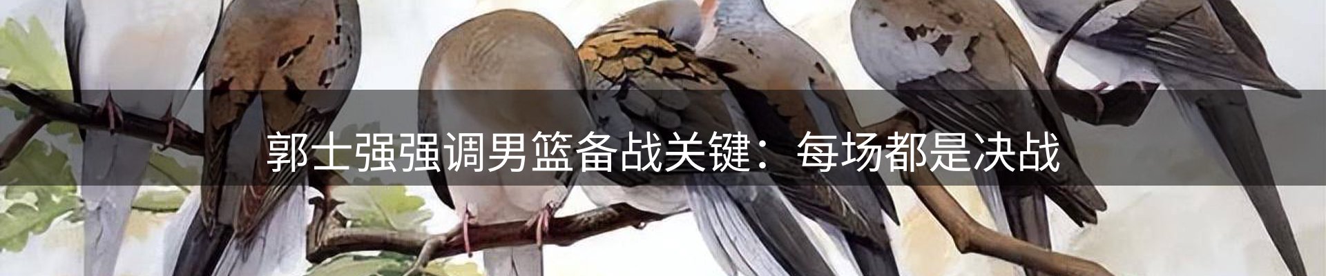 品牌资讯